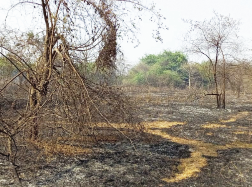 रिलायन्सच्या गॅस स्टेशननजीक आग ; आरसीएफ जवानांच्या तत्परतेमुळे टळला धोका