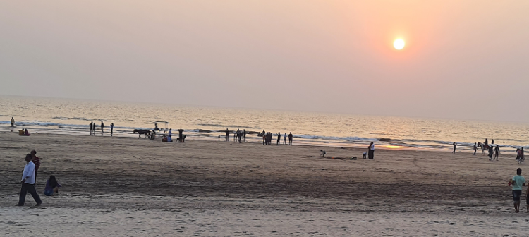 सलग सुट्ट्यांमुळे जिल्ह्यतील पर्यटन फुलणार