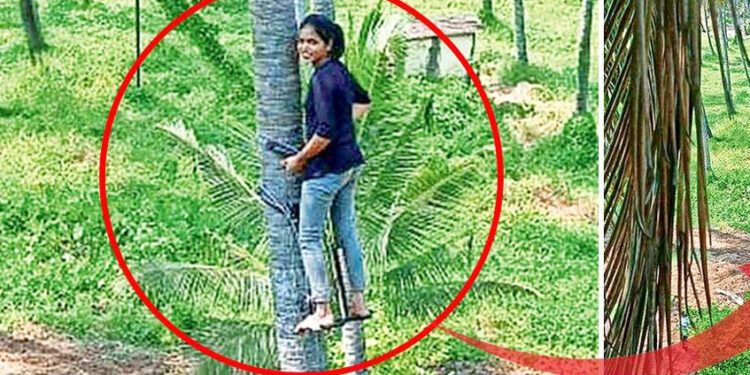 रत्नागिरीच्या नेहाने शोधली नवी वाट