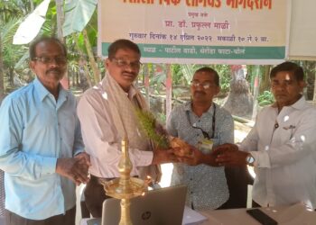 पिवळ्या सोन्यात क्रांती घडविण्याची ताकद