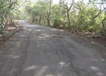 मुरुड-गारंबी रोहा रस्त्याची दुरवस्था