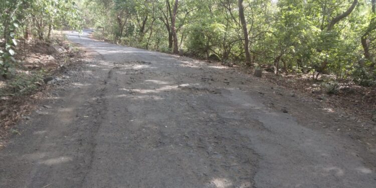 मुरुड-गारंबी रोहा रस्त्याची दुरवस्था