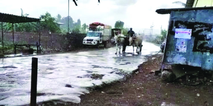 मुरुड समुद्रकिनारी पर्यटकांनी फुलला