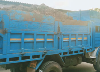 सरकारी सुट्टी अन् माती वाहतूक जोरात