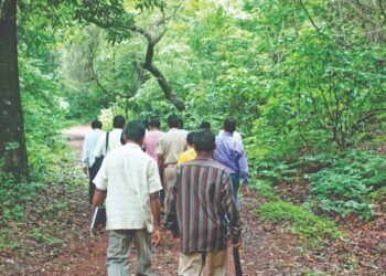 फणसाडमध्ये बिबट्याच्या पाऊलखुणा अन पक्ष्यांचा चिवचिवाट