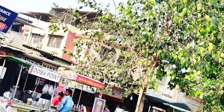 पनवेल रेल्वेस्थानक परिसर अतिक्रमणाच्या विळख्यात