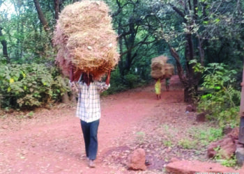 पोटाची खळगी भरण्यासाठी आव्हानांचा डोंगर