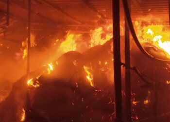 म्हशींचा गोठा जळीत प्रकरणी आरोपींना अटक नाही