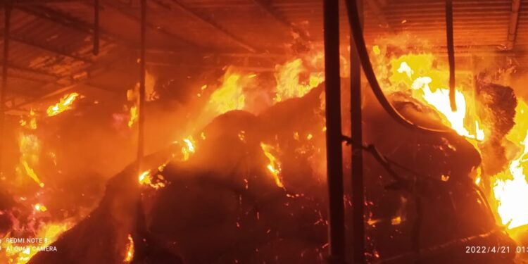 म्हशींचा गोठा जळीत प्रकरणी आरोपींना अटक नाही