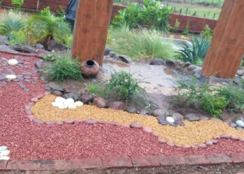 रायगड जिल्ह्यात शुष्क बागेचा ट्रेंड