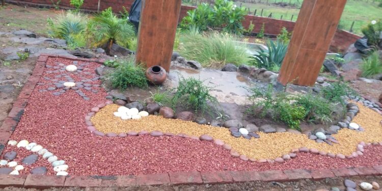 रायगड जिल्ह्यात शुष्क बागेचा ट्रेंड