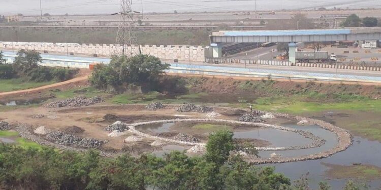 जेएनपीए परिसर कात टाकणार