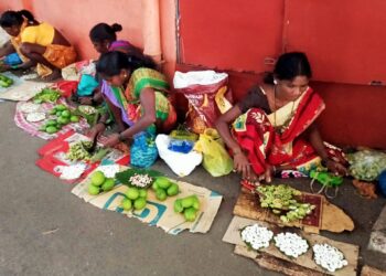 ओल्या काजूगराचा पहिला हंगाम सरला