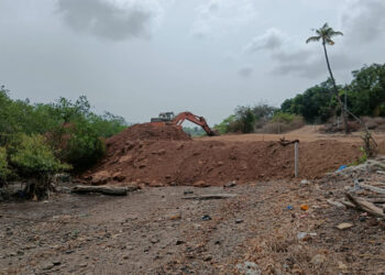 कांदळवनांवरील बेकायदा भरावांविरोधात कोळी समाज आक्रमक