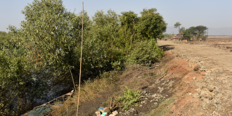 नारवेल बेनवले खारभूमीचे काम निकृष्ट दर्जाचे