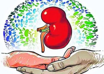 किडणी देऊन दिले पुतण्याला जीवनदान