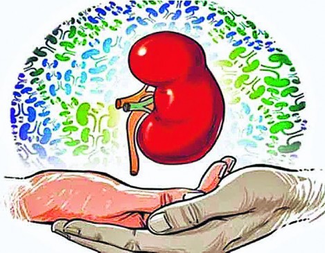 किडणी देऊन दिले पुतण्याला जीवनदान