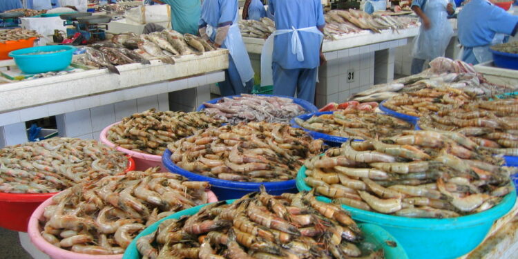 मुरूड किनारपट्टीत कोलंबीची आवक वाढली