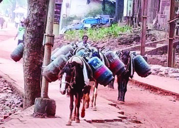गॅस सिलेंडरच्या त्रासातून नागरिकांची सुटका
