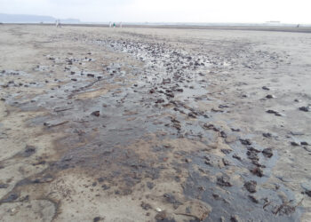 मुरुड किनार्‍यावर पुन्हा तेलाचा तवंग