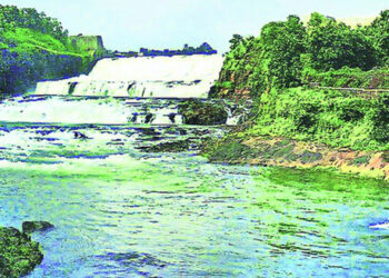 पनवेलकरांना 40 एमएलडी पाण्याची गरज