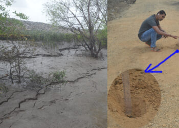 खारबंदिस्तीबाबत टोलवाटोलवी; खारभूमीच्या अधिकार्‍यांचे जेएसडब्ल्यूकडे बोट