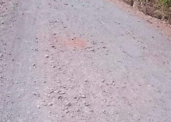 तहसीलदारांच्या आश्‍वासनानंतर उपोषण स्थगित