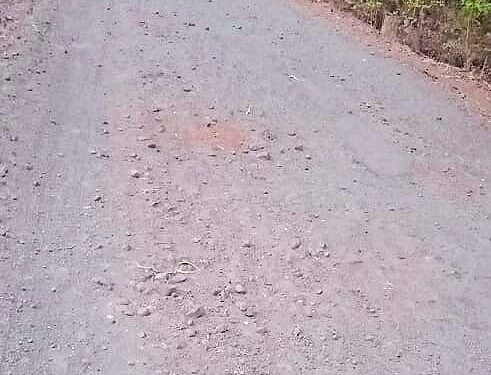 तहसीलदारांच्या आश्‍वासनानंतर उपोषण स्थगित