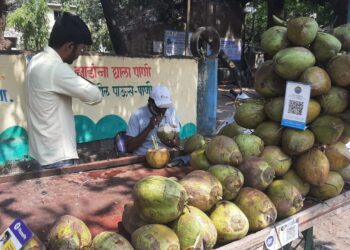 उन्हाळ्यात शहाळ्याच्या मागणीत वाढ