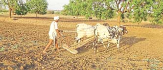 शेती मशागतीच्या कामांना वेग