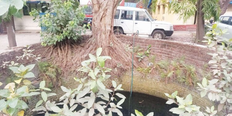असुरक्षित विहीरींना जाळी बसवा