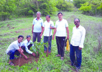 कोरोनाने वृक्षारोपणाचे महत्त्व दाखवून दिले; रवींद्र पाटील यांचे प्रतिपादन