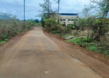 उमरोलीतील नवीन रस्त्यावर खड्डयांचे साम्राज्य