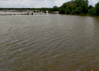 उधाणामुळे 250 एकर जमीन पाण्याखाली