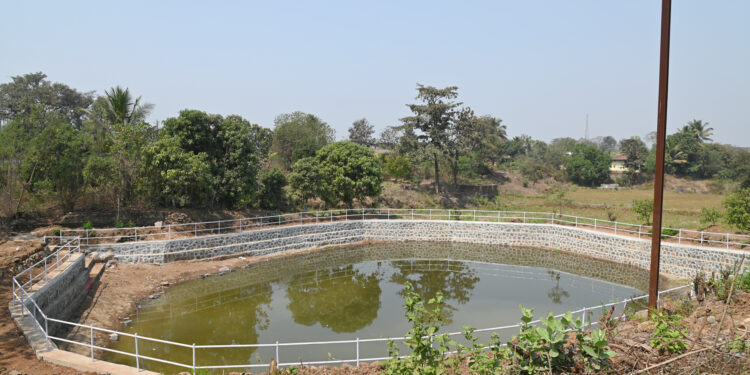 जेएसडब्ल्यूतर्फे जल, जैवविविधता प्रकल्प; 27 हजार स्थानिकांना जल उपक्रमांचा लाभ