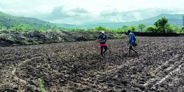 खालापुरात भातपेरणीला प्रारंभ