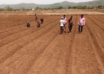 भातासाठी ऐसआरटीफचा अवलंब करा