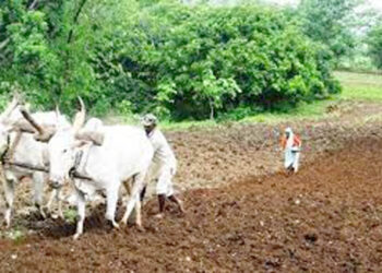 कार्लेखिंड परिसरातील शेतकरी चिंताग्रस्त