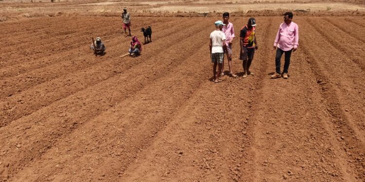 भातासाठी ऐसआरटीफचा अवलंब करा