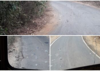 तळा-वाली- रोहा रस्त्याची दुर्दशा