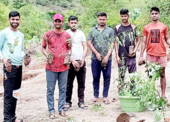 मनसेच्या आषाणे शाखेच्या वतीने वृक्षारोपण