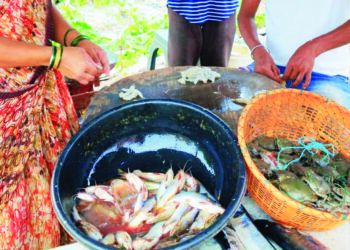 चविष्ट चिवणी बाजारात दाखल