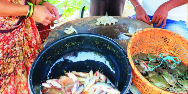 चविष्ट चिवणी बाजारात दाखल