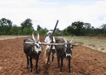 शेतकर्‍यांचे डोळे वरुण राजाकडे