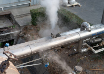 विषारी वायूने रोह्यात हाहाकार