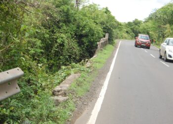 मैनुशेठ वाडा पुलाच्या कठडा दुरूस्तीची मागणी