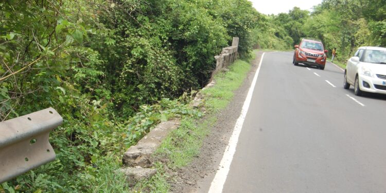 मैनुशेठ वाडा पुलाच्या कठडा दुरूस्तीची मागणी