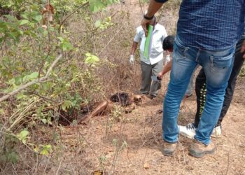 क्राईम स्टोरी! गळ्यात मंगळसूत्र, पायात पैजण; बेवारस महिलेचा सापडला मृतदेह
