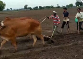 भात पेरणीच्या कामास प्रारंभ