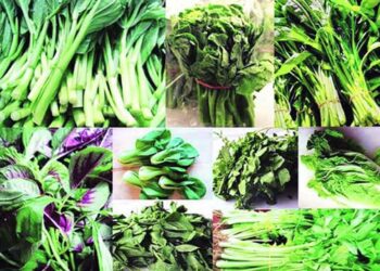 रानभाजी संवर्धनाची मागणी